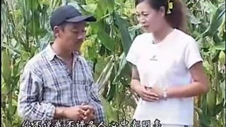 安徽民间小调风流视频,一窥传统民俗风情