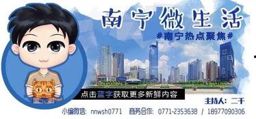 插舒服视频,插舒服视频带你探索视觉盛宴