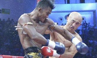 一龙播求比赛视频高清,一龙播求激战正酣，高清视频揭秘精彩瞬间