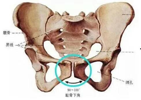 产后骨盆修复教学视频,重塑盆底健康，轻松回归生活