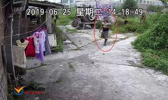 男扒女内衣裤视频,男子偷拍女性内衣裤视频事件曝光