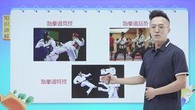 跆拳道品势太极一章教学视频,太极一章跆拳道品势教学视频要点解析