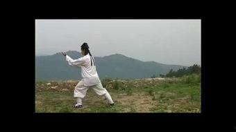 太极十三式视频,动静之间，探寻阴阳平衡的奥秘