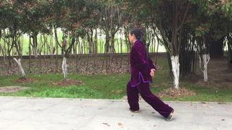 太极拳猫步教学视频,跟随教学视频轻松掌握猫步技巧