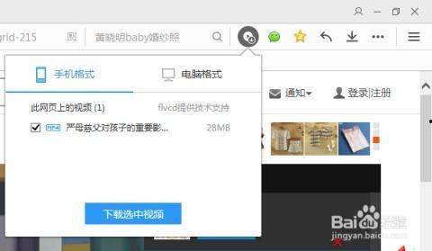 网上怎么下载视频,网络视频下载攻略全解析