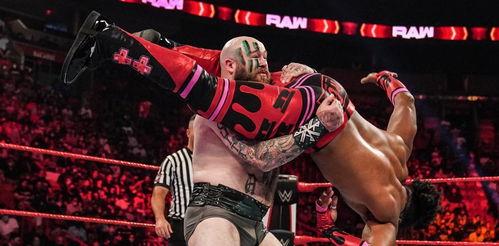 wwe大布vs毒蛇的视频,大布与毒蛇的激战正酣