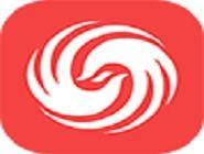 凤凰简笔画视频,简笔画中的传奇神话