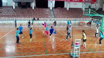 排球直播视频
