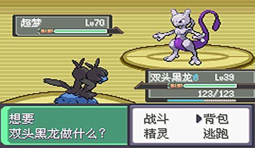 口袋妖怪漆黑魅影视频,神秘力量与黑暗对决