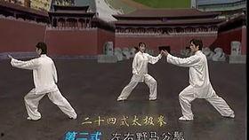 太极24式视频,动静之间，领略中华武术精髓